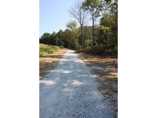 Property photo 50 - 419 +/- Acres offered in 6 Tracts, Land Auction